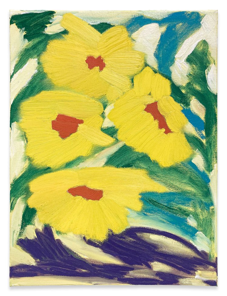 DAVID HANES